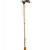 WALKING STICK (L TYPE)